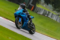 PJ-Motorsport-Photography-2020;anglesey;brands-hatch;cadwell-park;croft;donington-park;enduro-digital-images;event-digital-images;eventdigitalimages;mallory;no-limits;oulton-park;peter-wileman-photography;racing-digital-images;silverstone;snetterton;trackday-digital-images;trackday-photos;vmcc-banbury-run;welsh-2-day-enduro